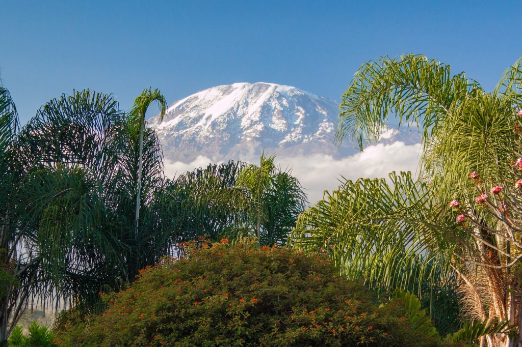 kilimanjaro, tanzania, africa-4436821.jpg